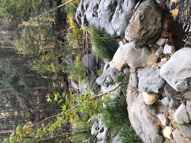 imagination has no limits